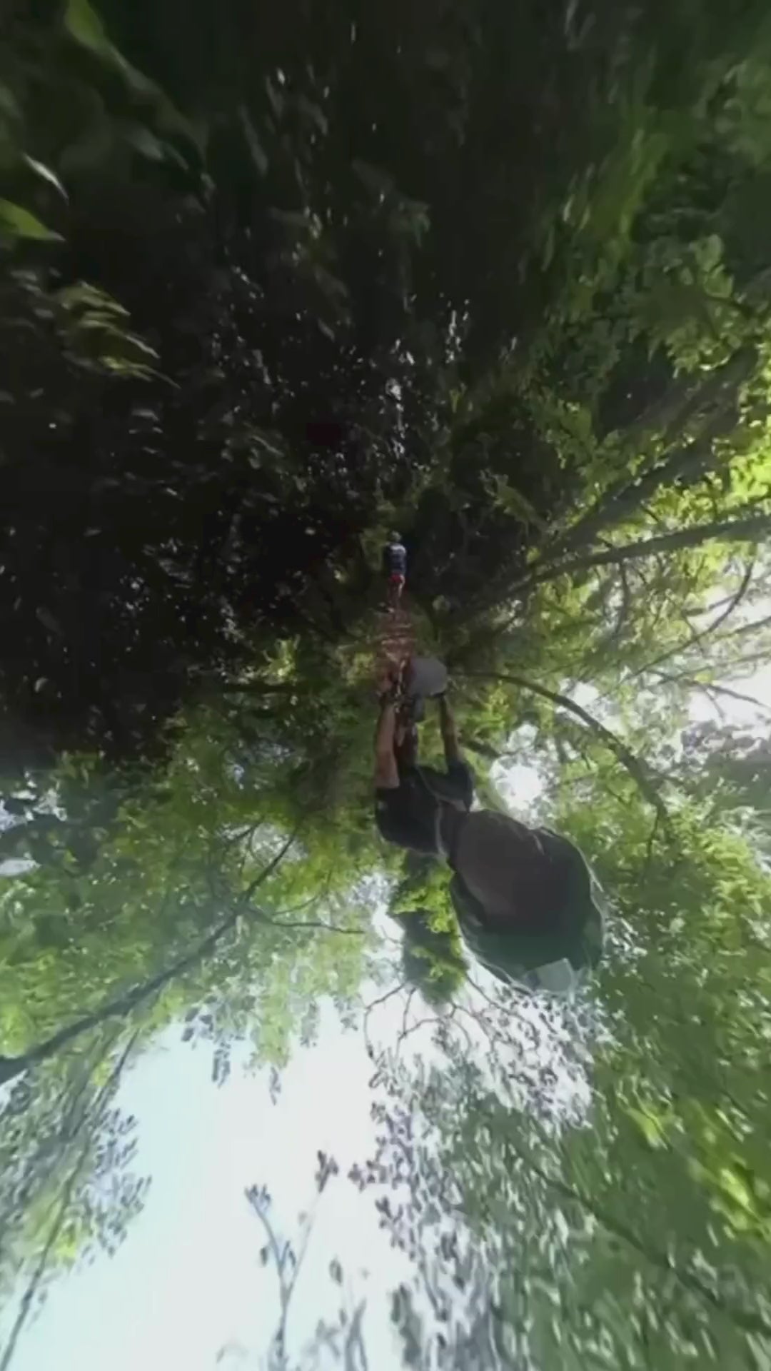 Carica il video: 